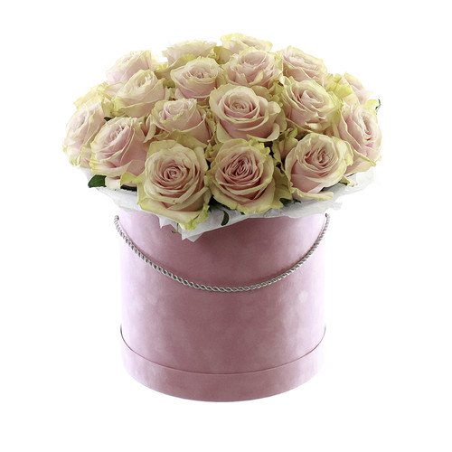 Букет из 25 Розовых Роз