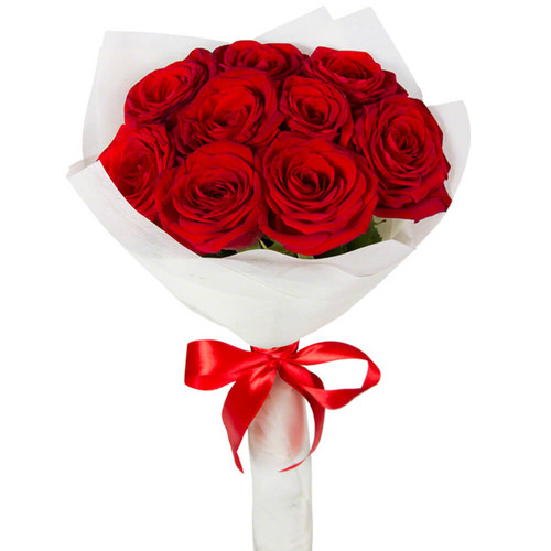 Букет из 9 красных роз в белой упаковке