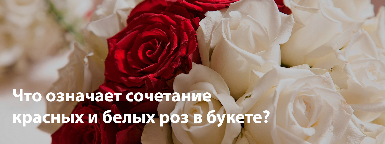 Что означает сочетание красных и белых роз в букете