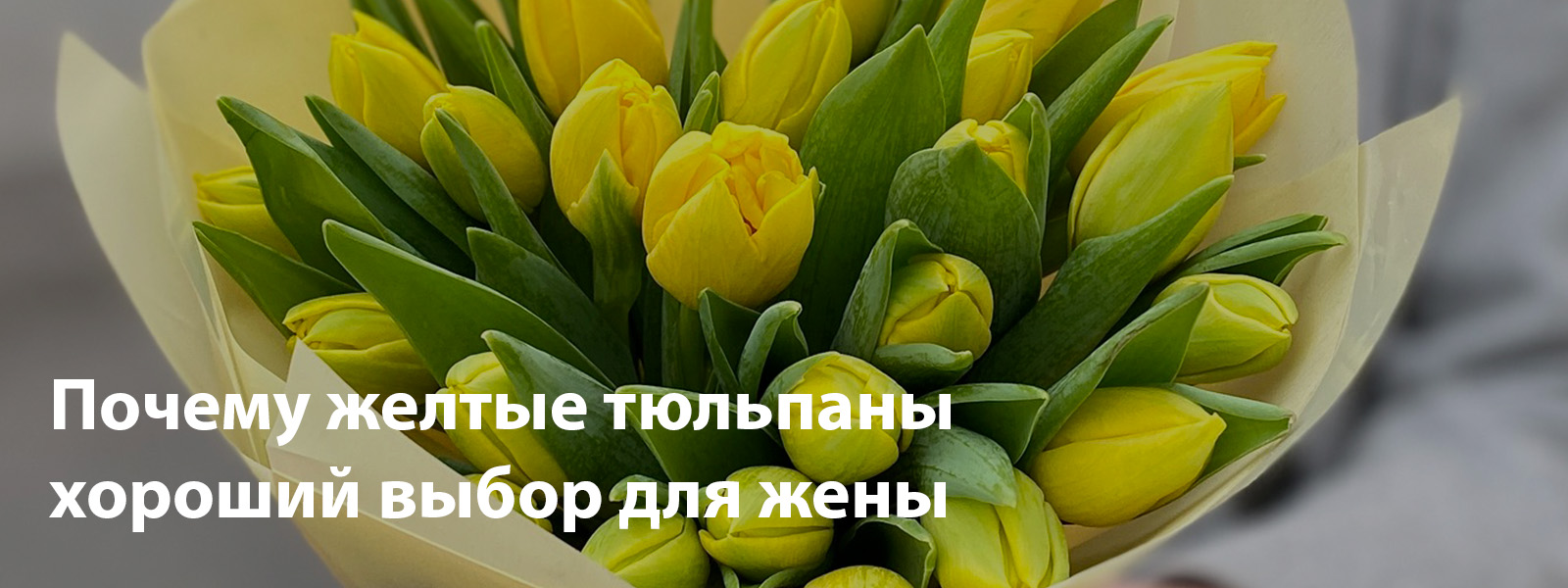 Почему желтые тюльпаны хороший выбор для жены