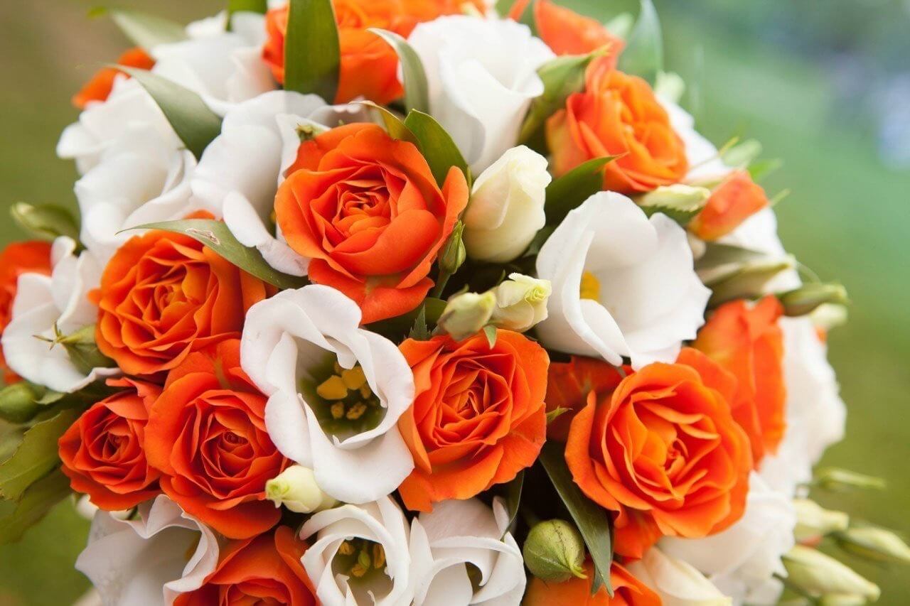 Оранжевые цветы для женщины-Овна