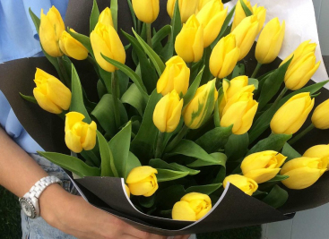Что означает букет желтых тюльпанов