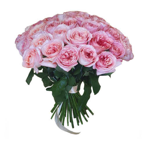 Букет из 25 Пионовидных Роз