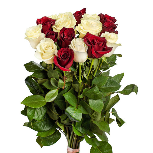 Букет из 17 красных и белых роз