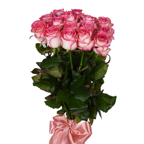 Букет из 15 розовых роз (Paloma)