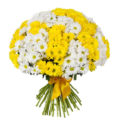 Букет из 25 белых и желтых хризантем